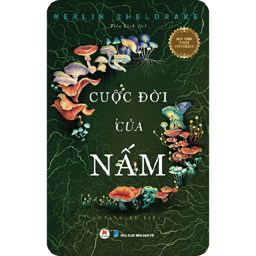 Cuộc Đời Của Nấm