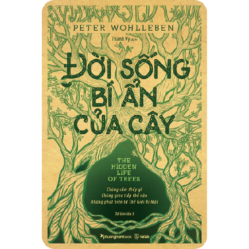 Đời Sống Bí Ẩn Của Cây